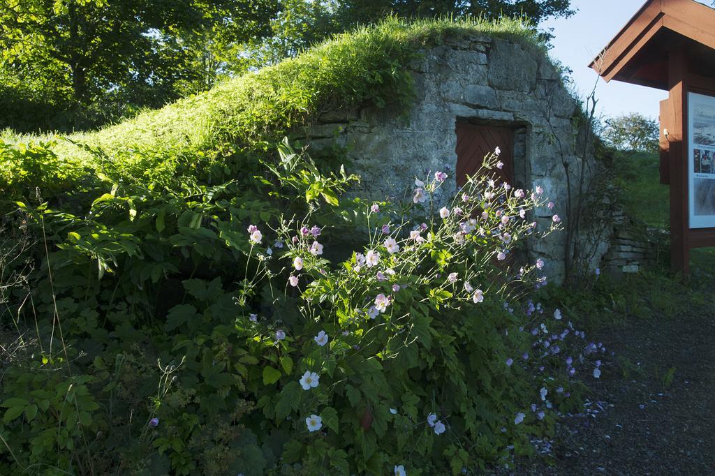 Loefwings B&B Broddetorp Bagian luar foto