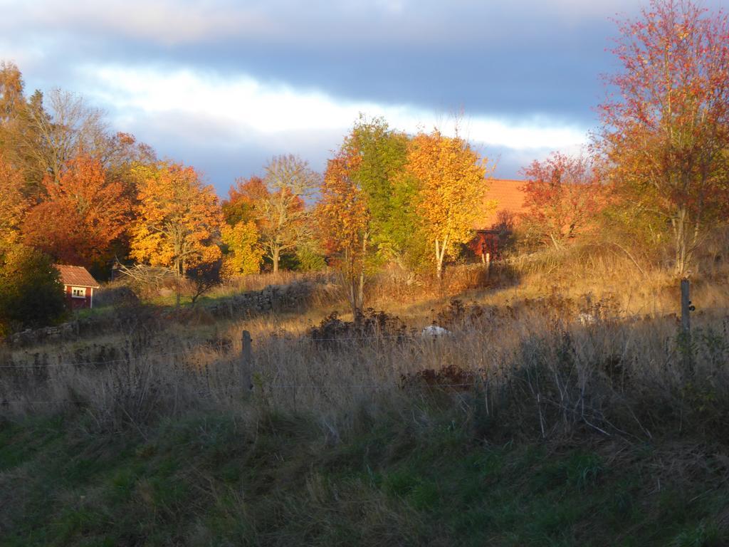 Loefwings B&B Broddetorp Bagian luar foto